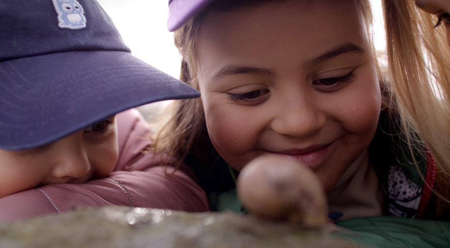 Kids curiously observing a snail
