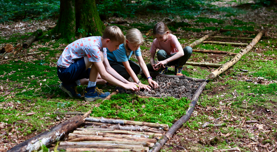 DIY with kindwaldundwiese: A sensory barefoot trail for everyone