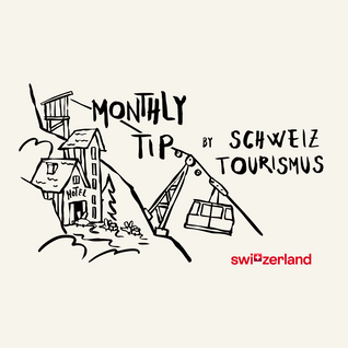 Excursion Tips for June: A Taste of Summer Adventures
