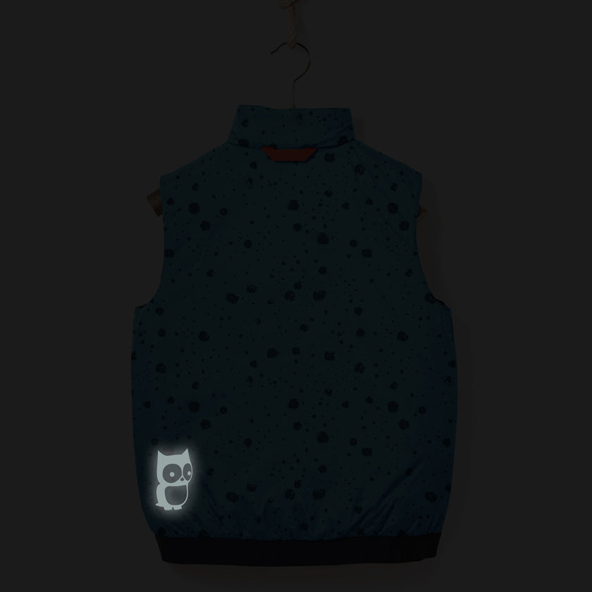 Icon reversible PrimaLoft vest 